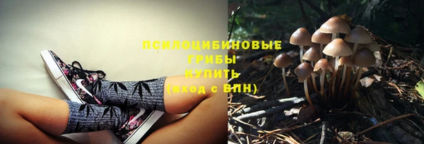 меф Алзамай