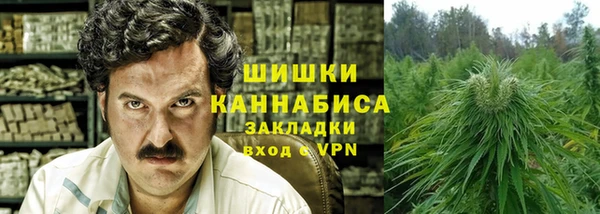 сатива Алексин