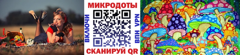 Галлюциногенные грибы ЛСД  ссылка на мегу сайт  Тулун 