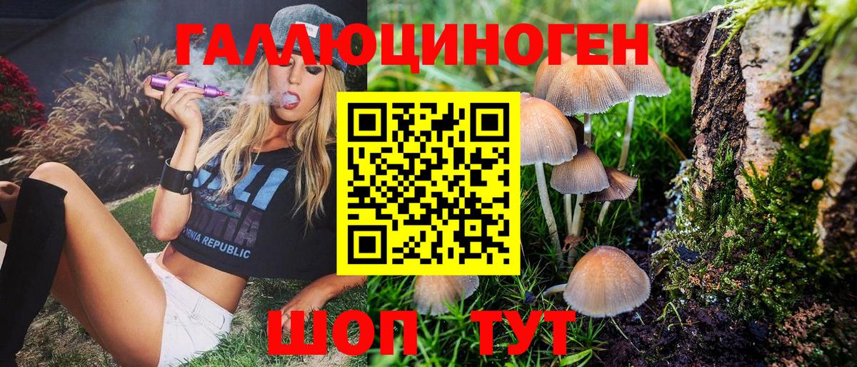 Галлюциногенные грибы Magic Shrooms  Вход с VPN  Тулун 